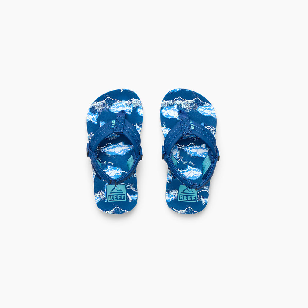 Little Ahi Royal Sharks