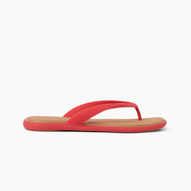 Water Willow Malibu - Hibiscus