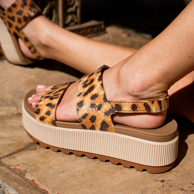 Water Vista Higher - Leopard