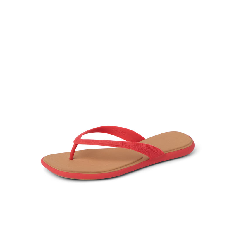 Water Willow Malibu - Hibiscus