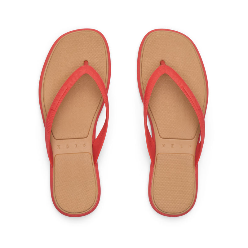 Water Willow Malibu - Hibiscus